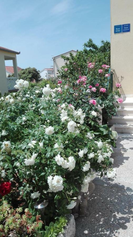Apartments Racetin Marina Dış mekan fotoğraf